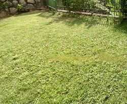 Phoenix Heights (D23), Detached #454234101